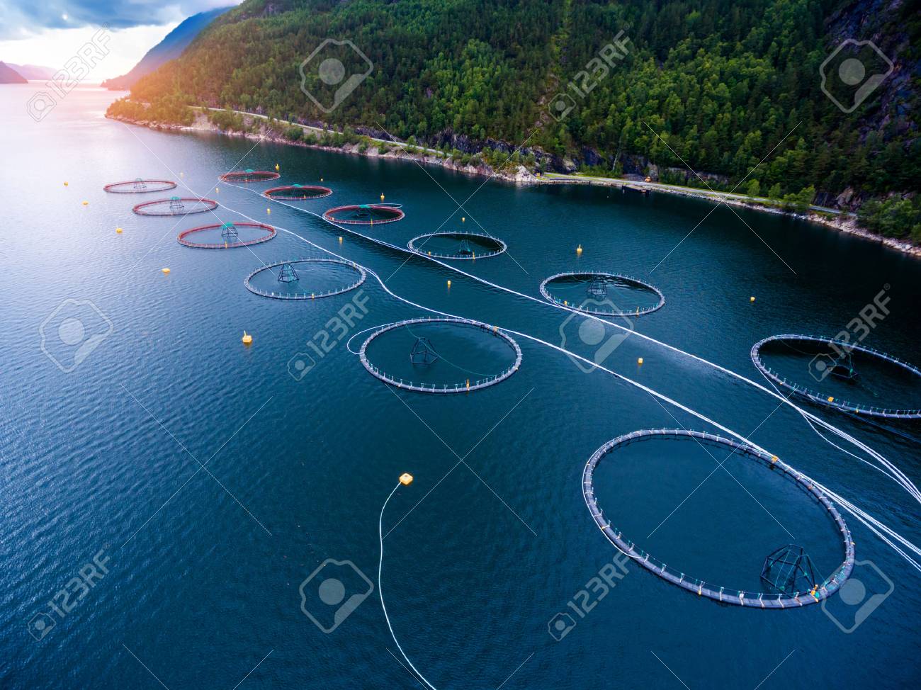 Farm salmon fishing in Norway aerial photography. - 70372418 Farm salmon fishing in Norway aerial photography. - 70372418