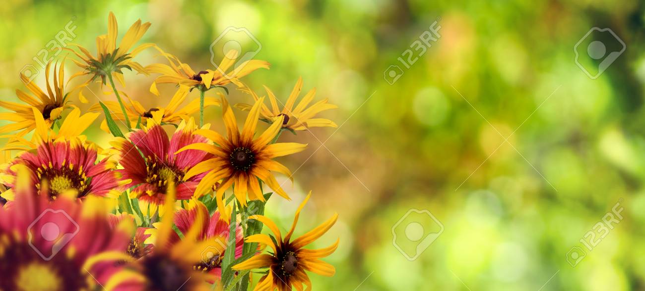 緑の背景のお花がきれい 庭の多くの美しい花 緑背景をぼかしに花 の写真素材 画像素材 Image