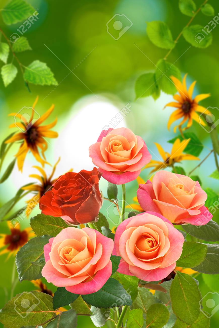 緑の背景のクローズ アップのきれいな花 の写真素材 画像素材 Image