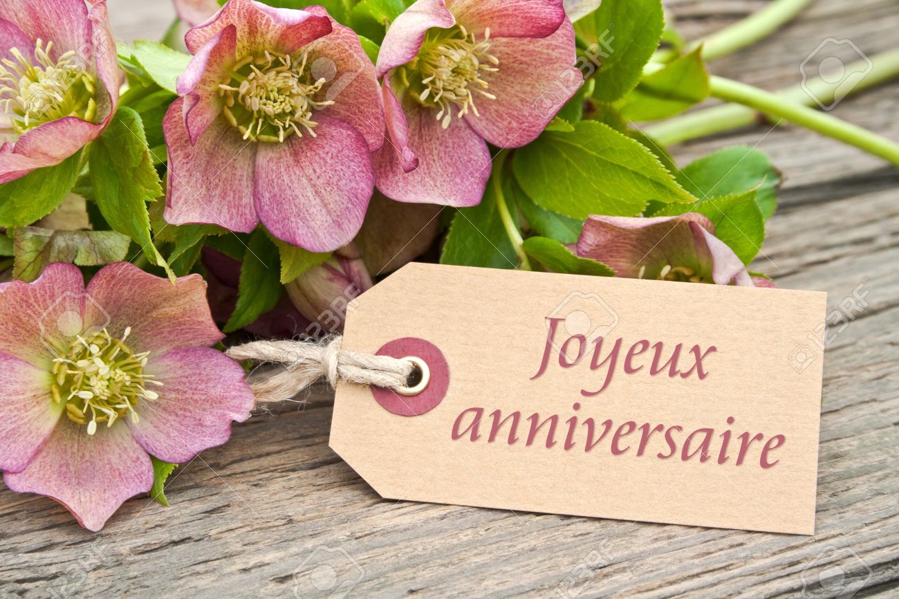 Vite... c'est l'anniversaire de notre Chani! 19726105-fleurs-roses-avec-une-carte-d-anniversaire-Banque-d'images