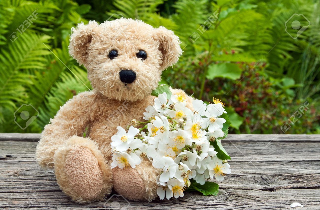 white rose teddy