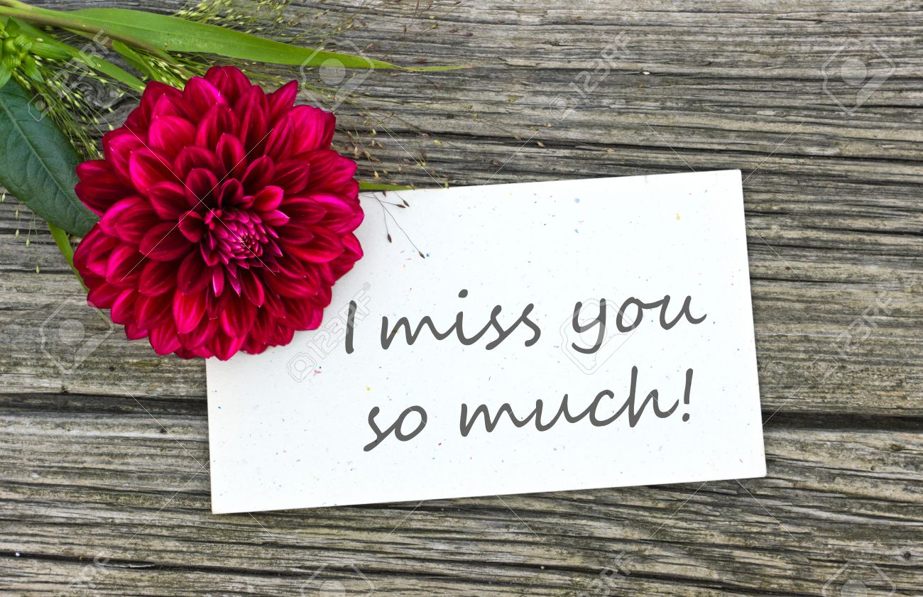 Immagini Stock Carta Mi Manchi Cosi Tanto Con Il Fiore Rosso Image