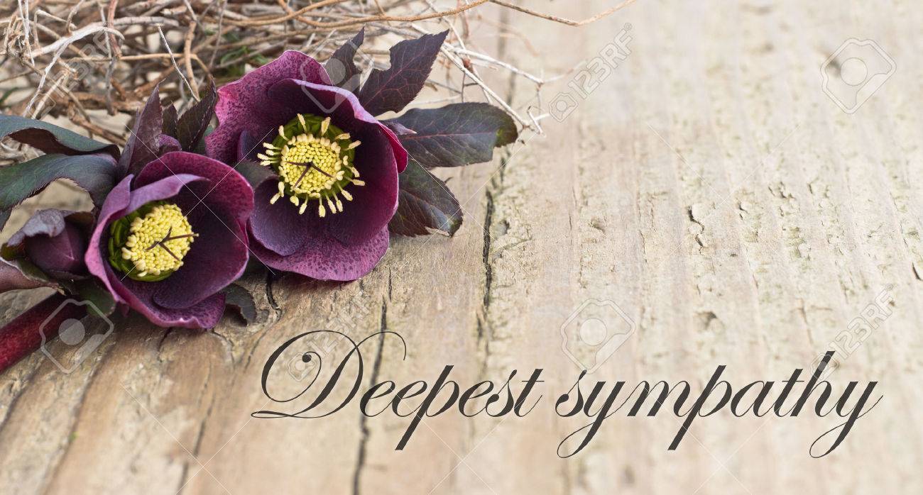 sympathy card stock photos royalty free sympathy card images