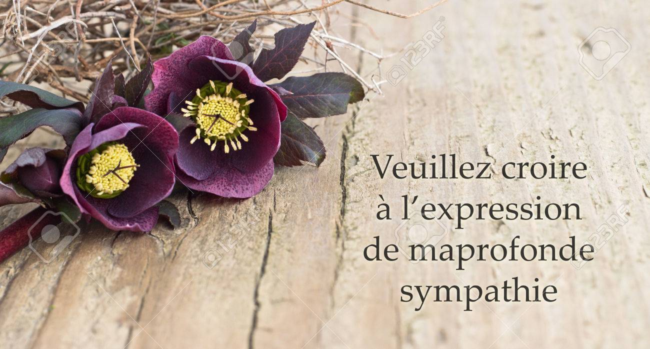 condolence card with dark christroses stock photo picture and