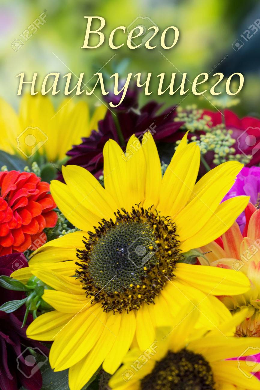 Carte D Anniversaire Russe Avec Des Fleurs D Ete Banque D Images Et Photos Libres De Droits Image