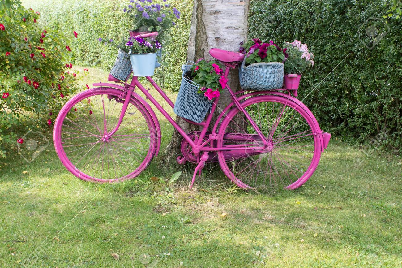 Un Vélo Rose Avec Des Fleurs Se Dresse Comme Une Décoration Dans Le ... Un Vélo Rose Avec Des Fleurs Se Dresse Comme Une Décoration Dans Le ...