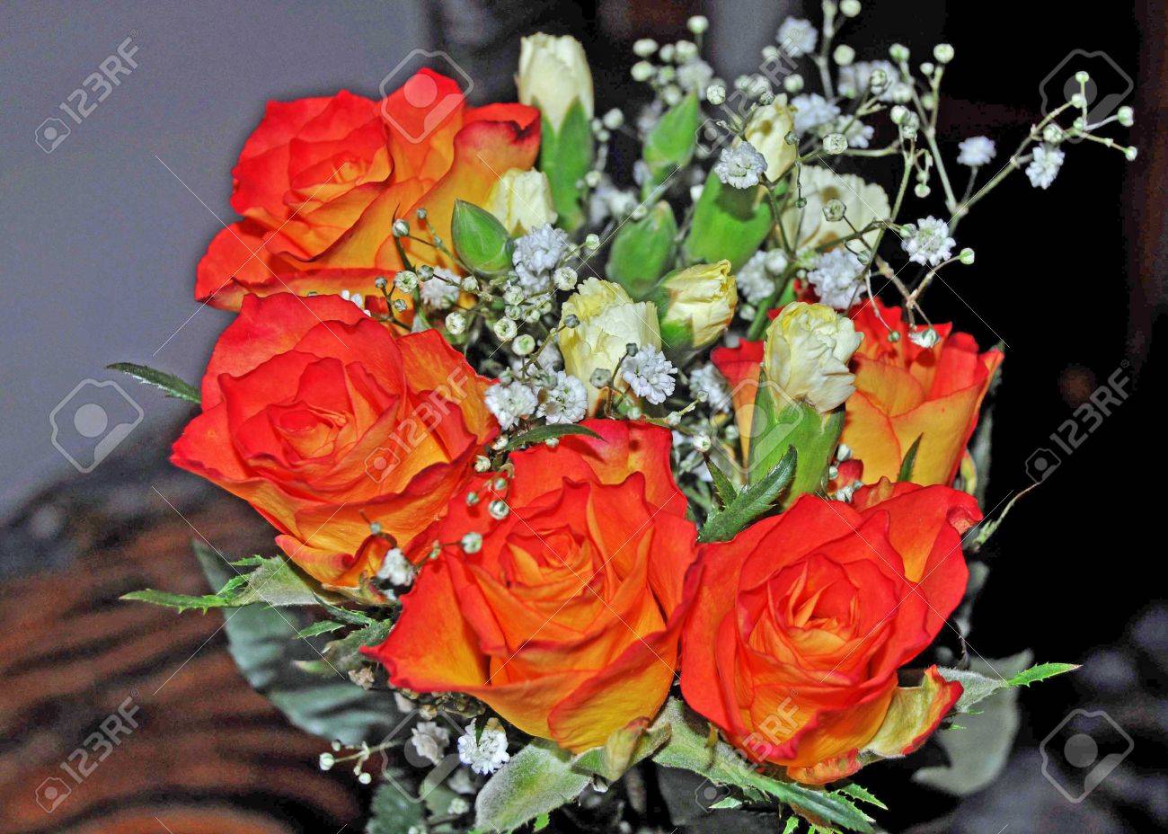 A Rose By Any Othe Rname Stock Photo Picture And Royalty Free