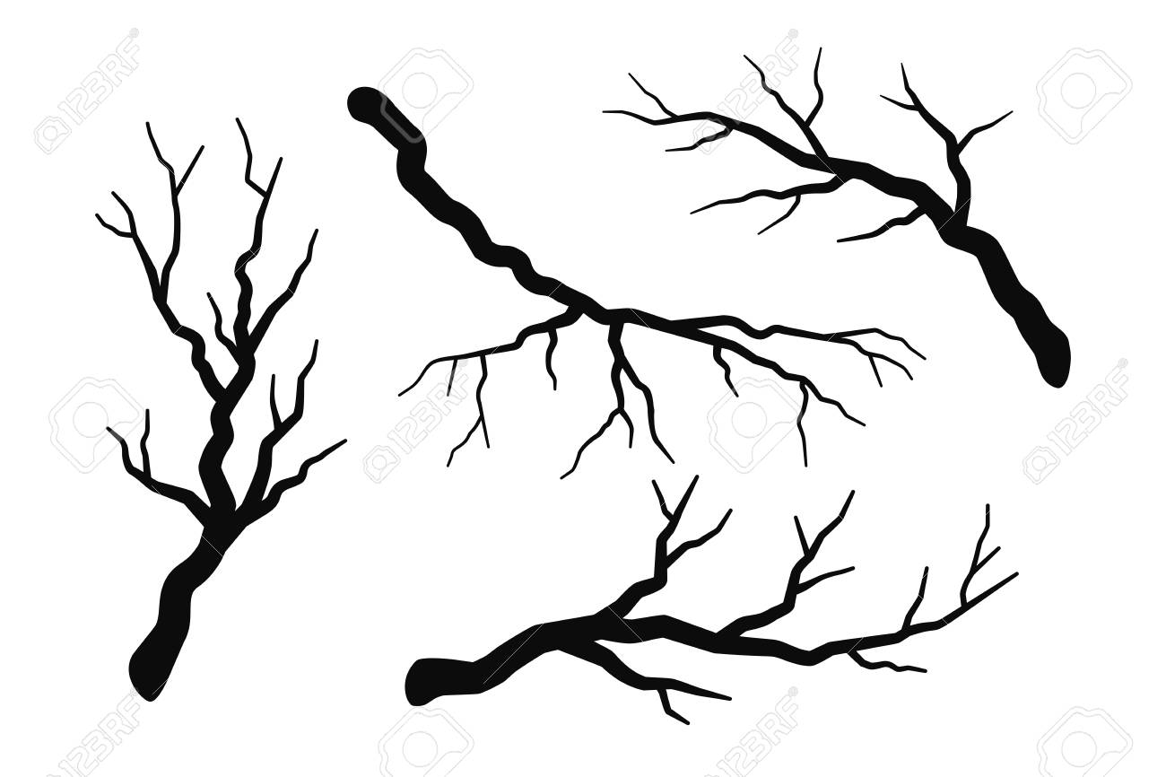 Tree Branch Without Leaves Silhouettes Set Isolated On White Royalty Free Cliparts Vectors And Stock Illustration Image Tree Branch Without Leaves Silhouettes Set Isolated On White Royalty Free Cliparts Vectors And Stock Illustration Image