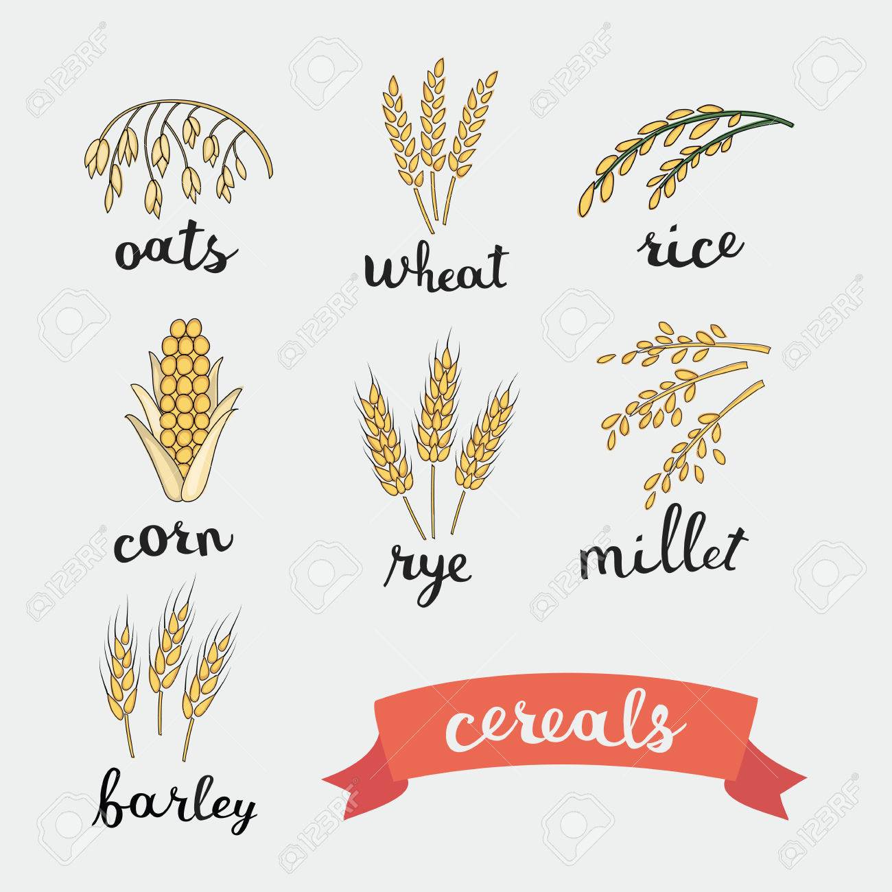 nombres de granos de cereales nombres de granos de cereales