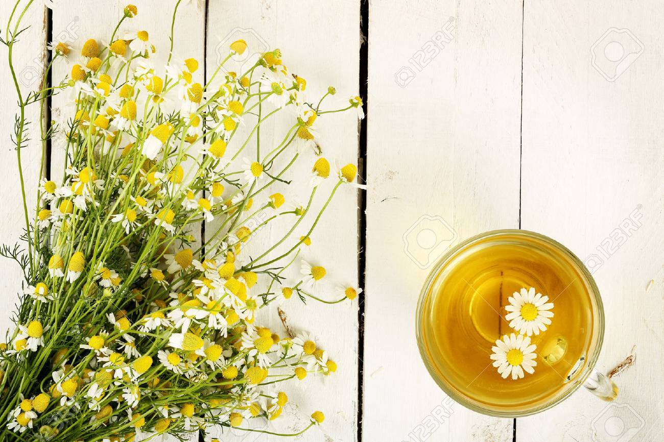 cup of chamomile tea with chamomile flowers on white wooden planks - 39909233 cup of chamomile tea with chamomile flowers on white wooden planks - 39909233