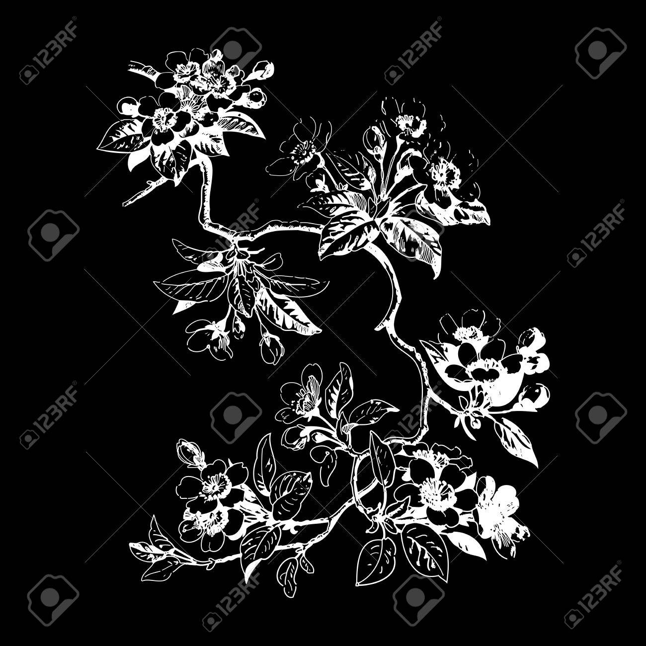 手描き桜支店 背景の花桜の木の枝に 葉と黒の背景の上に花を持つ植物の枝 ベクトル図のイラスト素材 ベクタ Image