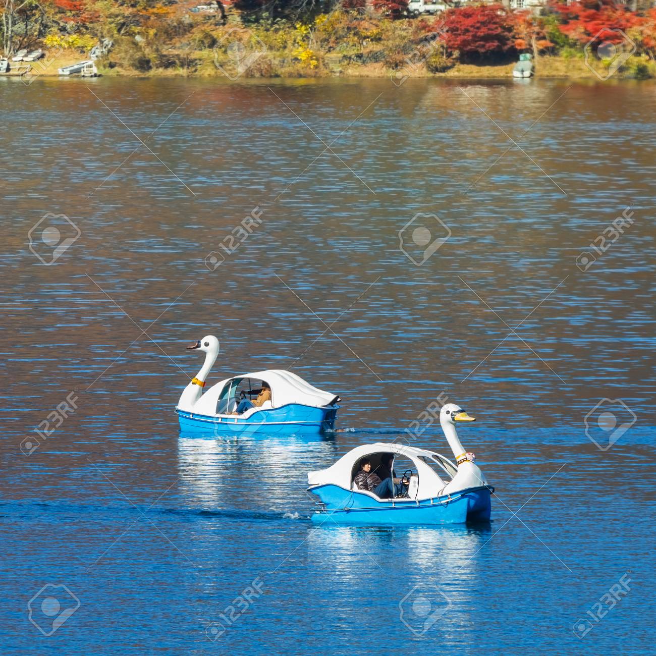 山梨県 11 月 22 日河口湖ボートとスワンは 13 年 11 月 22 日に山梨県河口湖観光のための Availble の写真素材 画像素材 Image 山梨県 11 月 22 日河口湖ボートとスワンは 13 年 11 月 22 日に山梨県河口湖観光のための Availble の写真素材 画像素材 Image