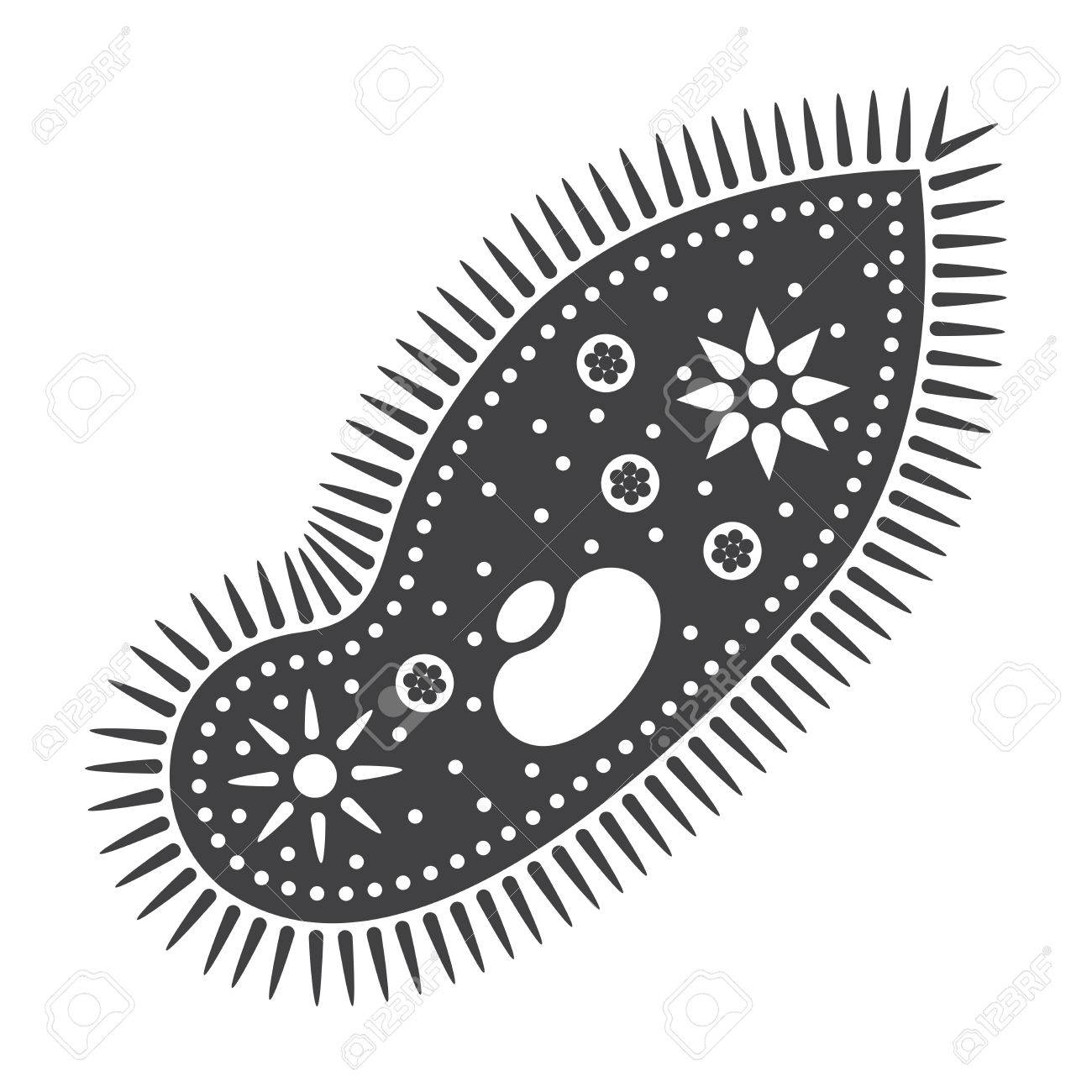 ゾウリムシ単細胞生物 ベクトル シルエットと生物学の概念のイラスト素材 ベクタ Image ゾウリムシ単細胞生物 ベクトル シルエットと生物学の概念のイラスト素材 ベクタ Image