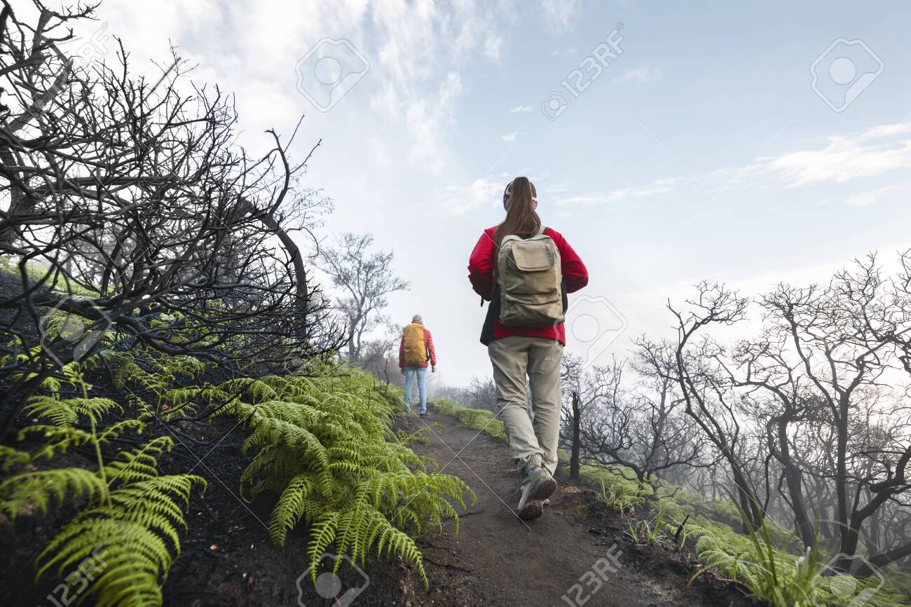 Two tourists with backpacks walks at volcano top in acid clouds and dead trees - 156394250 Two tourists with backpacks walks at volcano top in acid clouds and dead trees - 156394250