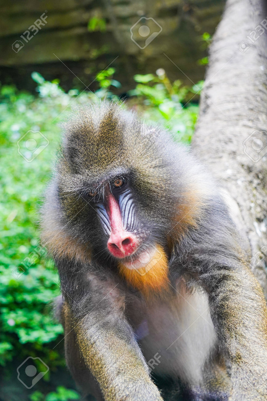 etiam-dictum-ipsum-a-felis