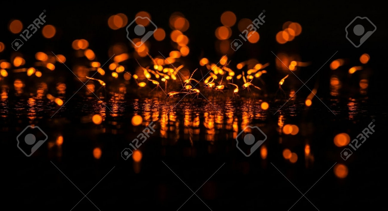 etiam-dictum-ipsum-a-felis