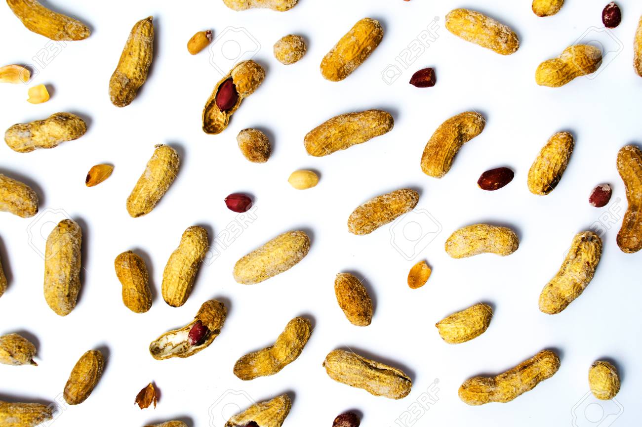 etiam-dictum-ipsum-a-felis