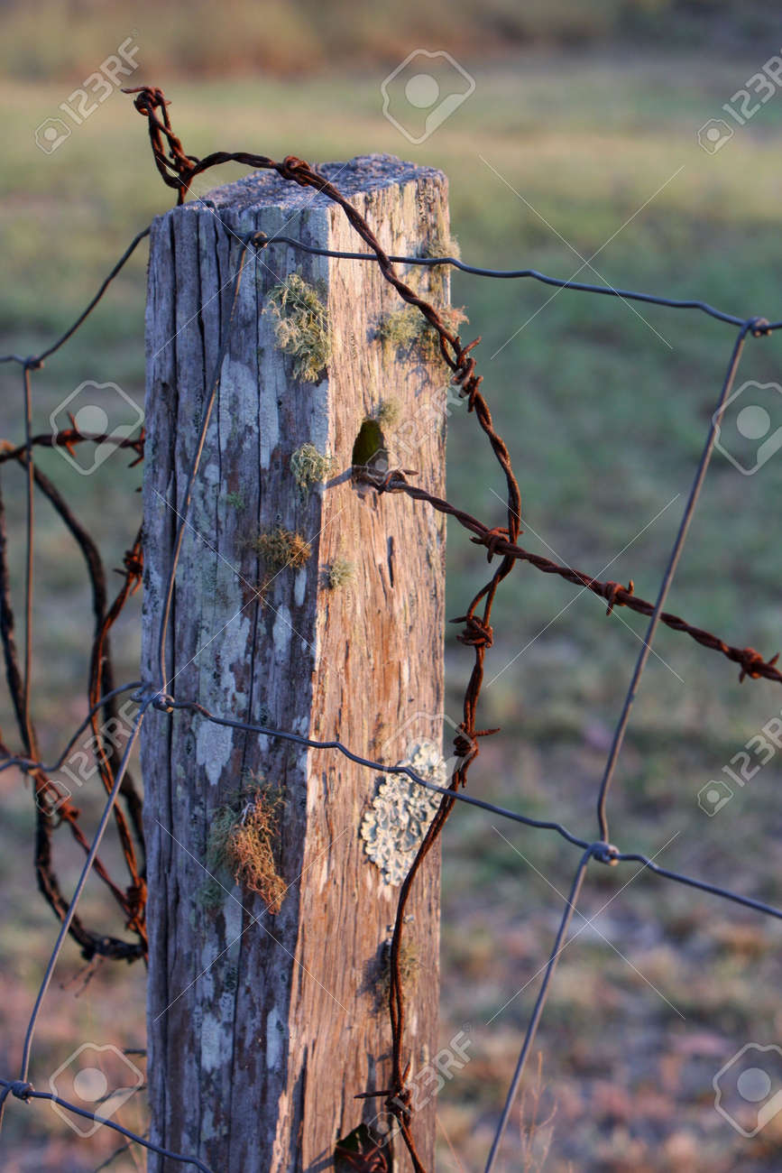 Old Barbed Wire Fence Old Barbed Wire Fence