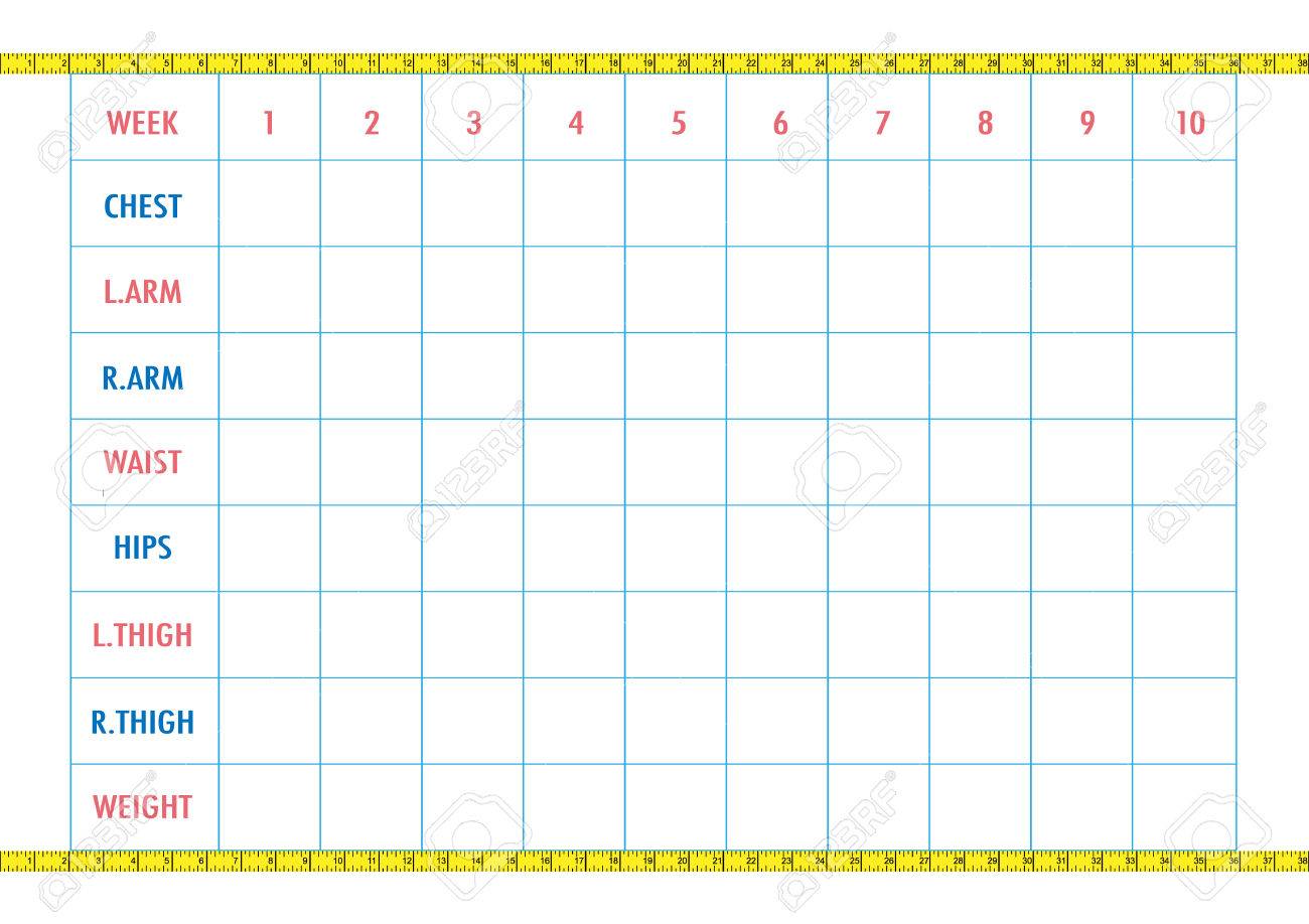 body measurement tracking