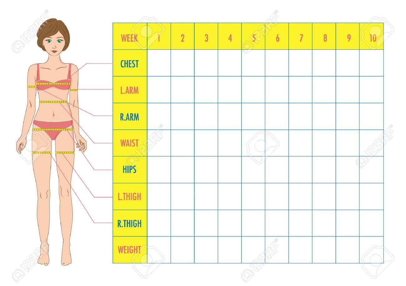 Measurement chart of body parameters for sport and diet effect tracking. Blank weight loss table layout. Chest, waist, hips, arms, thighs measurements recording. Figure of the girl, model in sportswear. Vector illustration. - 61116447 Measurement chart of body parameters for sport and diet effect tracking. Blank weight loss table layout. Chest, waist, hips, arms, thighs measurements recording. Figure of the girl, model in sportswear. Vector illustration. - 61116447