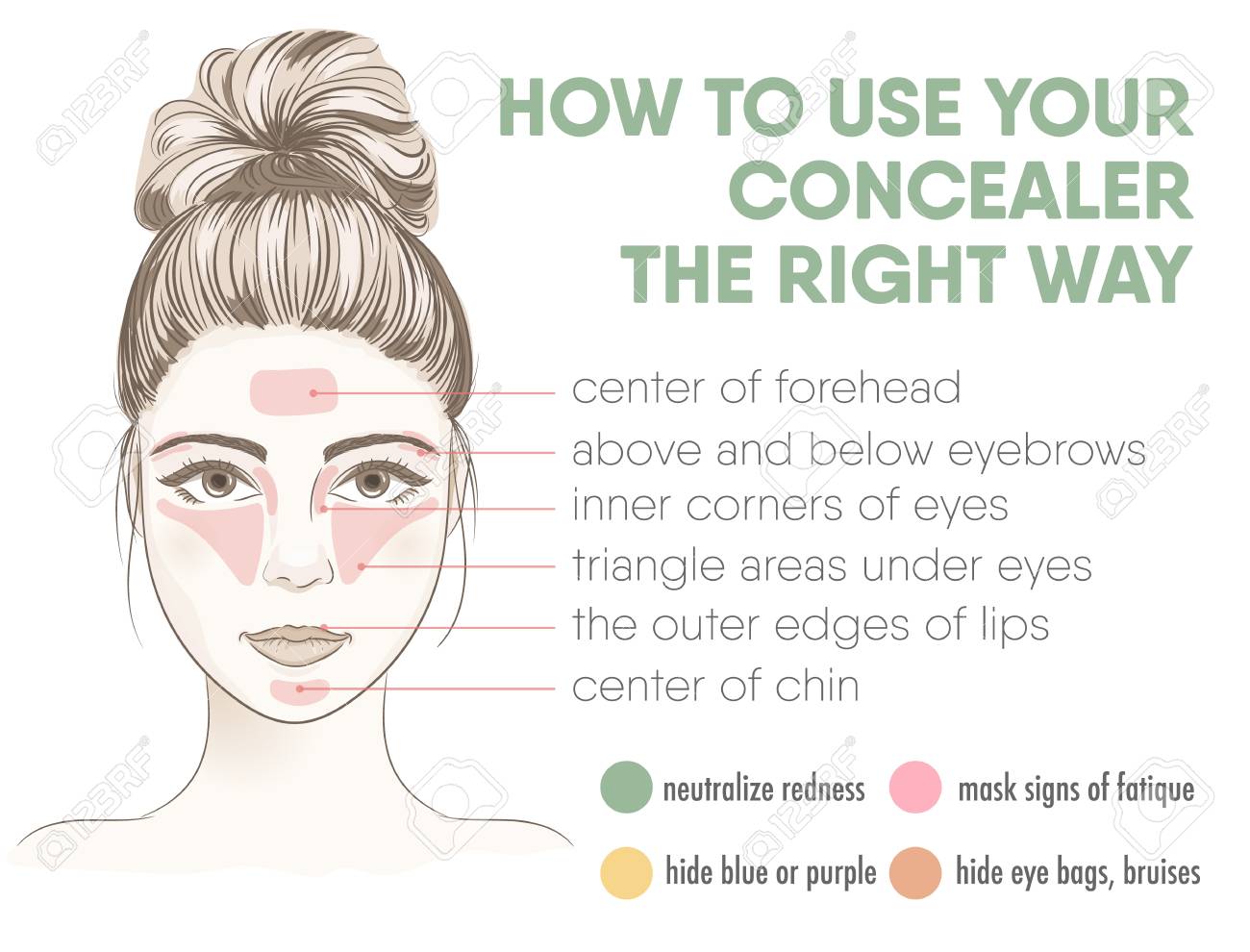 Concealer Face Chart