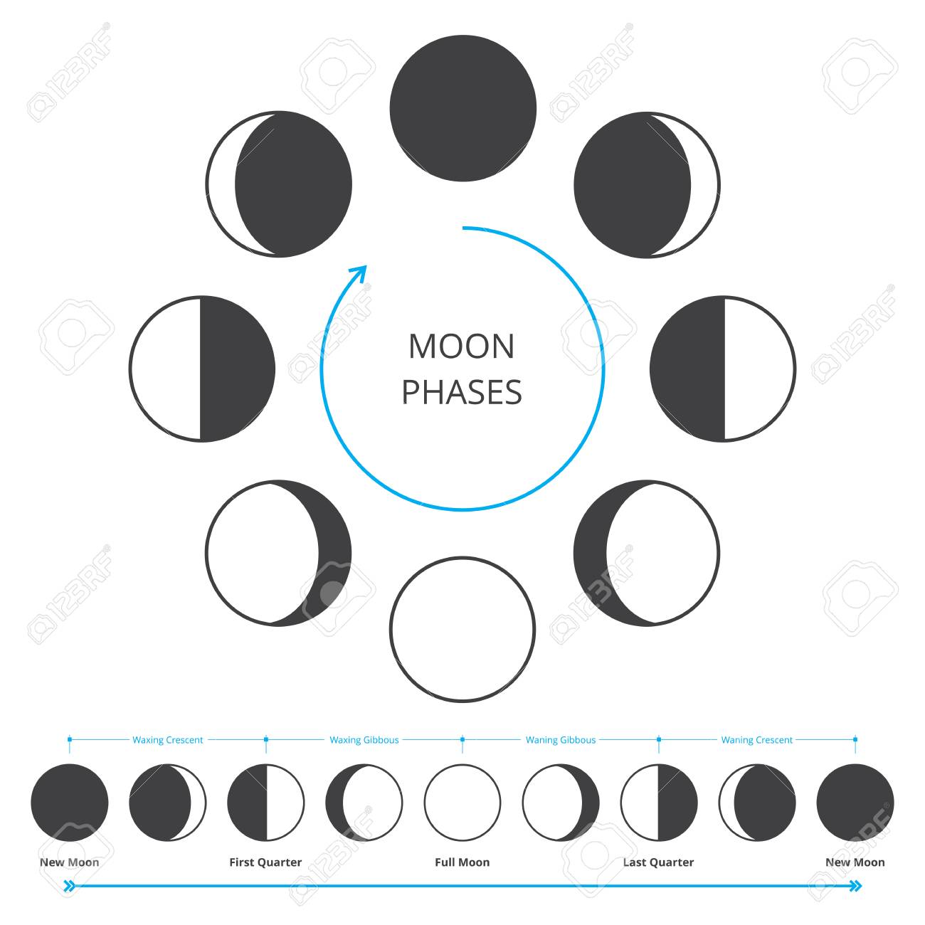 Icones Des Phases De Lune Astronomie Des Phases Lunaires Cycle