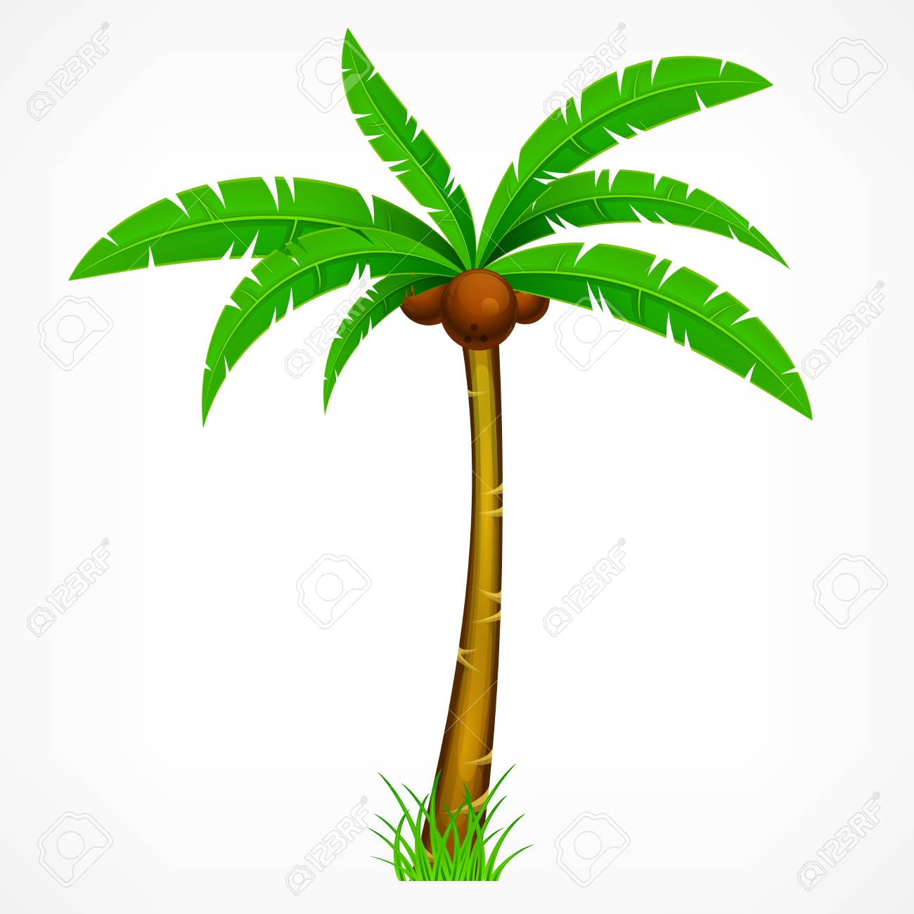 tropical palm trees with