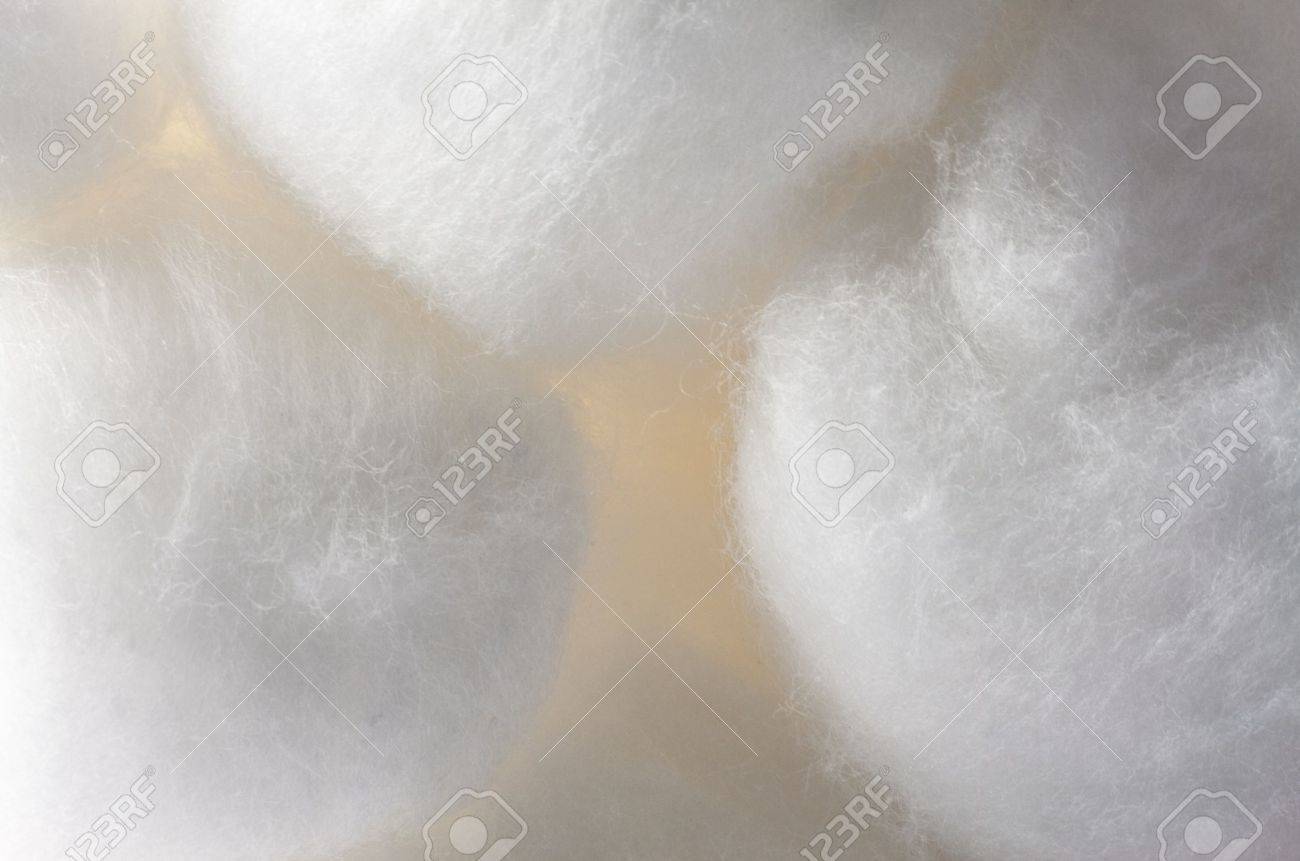 Pile of white cotton balls texture close up background - 21882519 Pile of white cotton balls texture close up background - 21882519