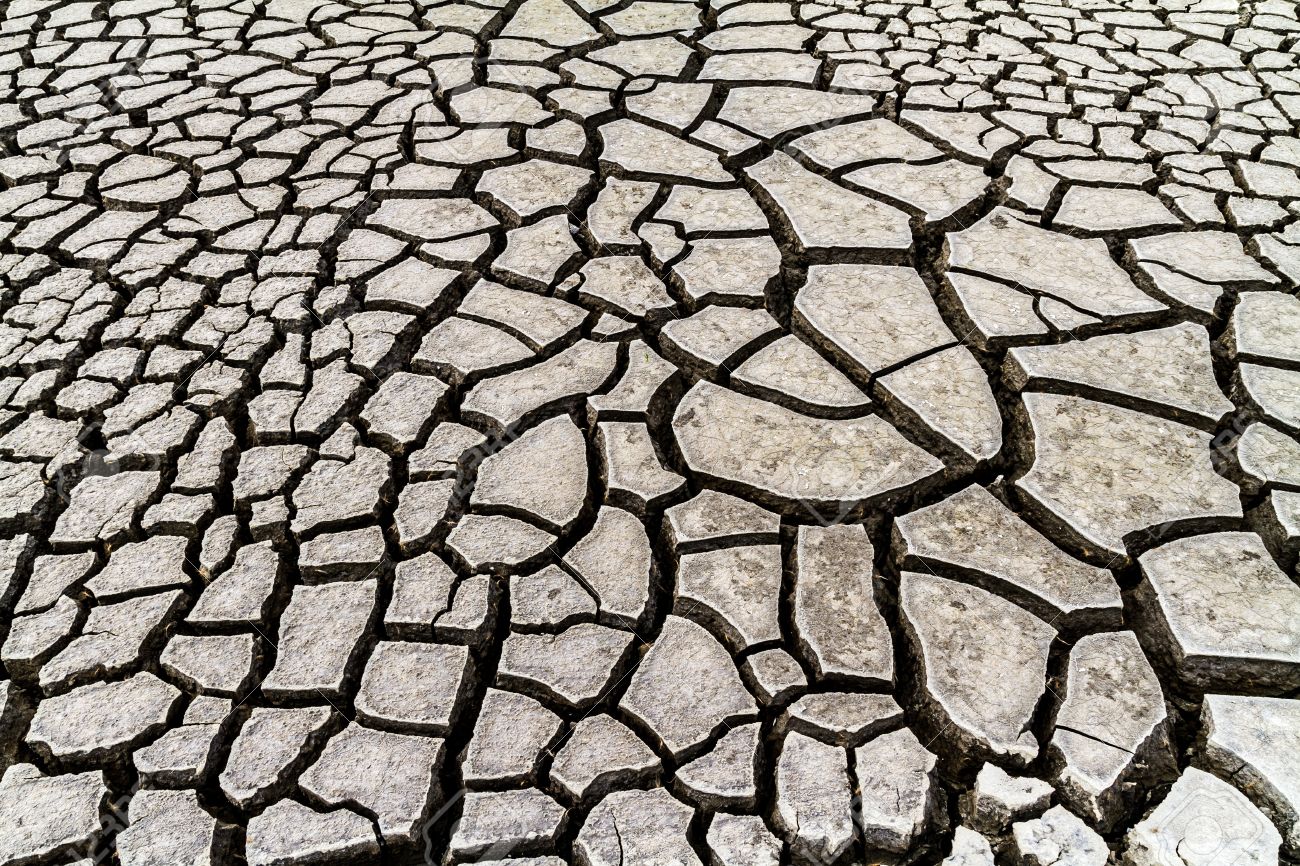 Seamless cracked dry ground texture background - 21980345 Seamless cracked dry ground texture background - 21980345