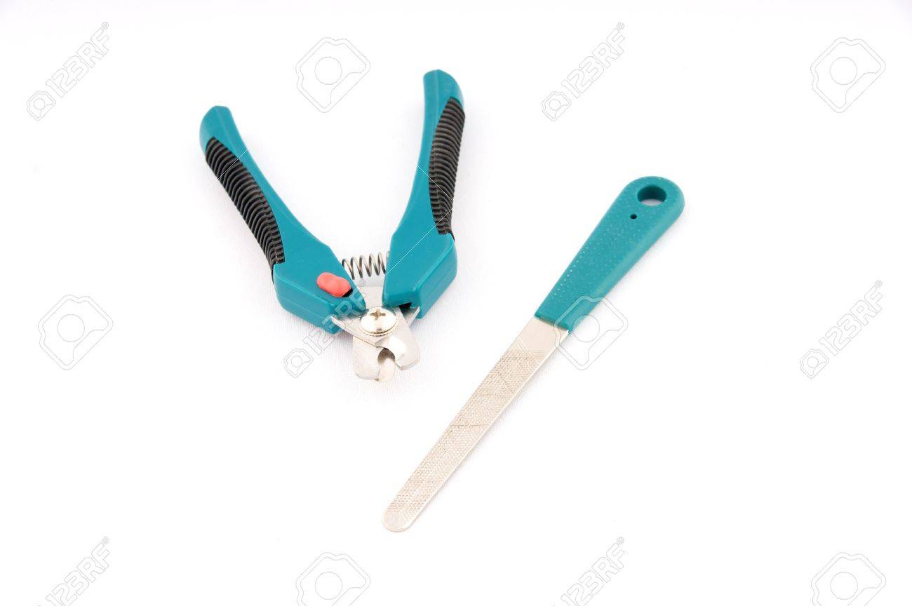 pet grooming tools