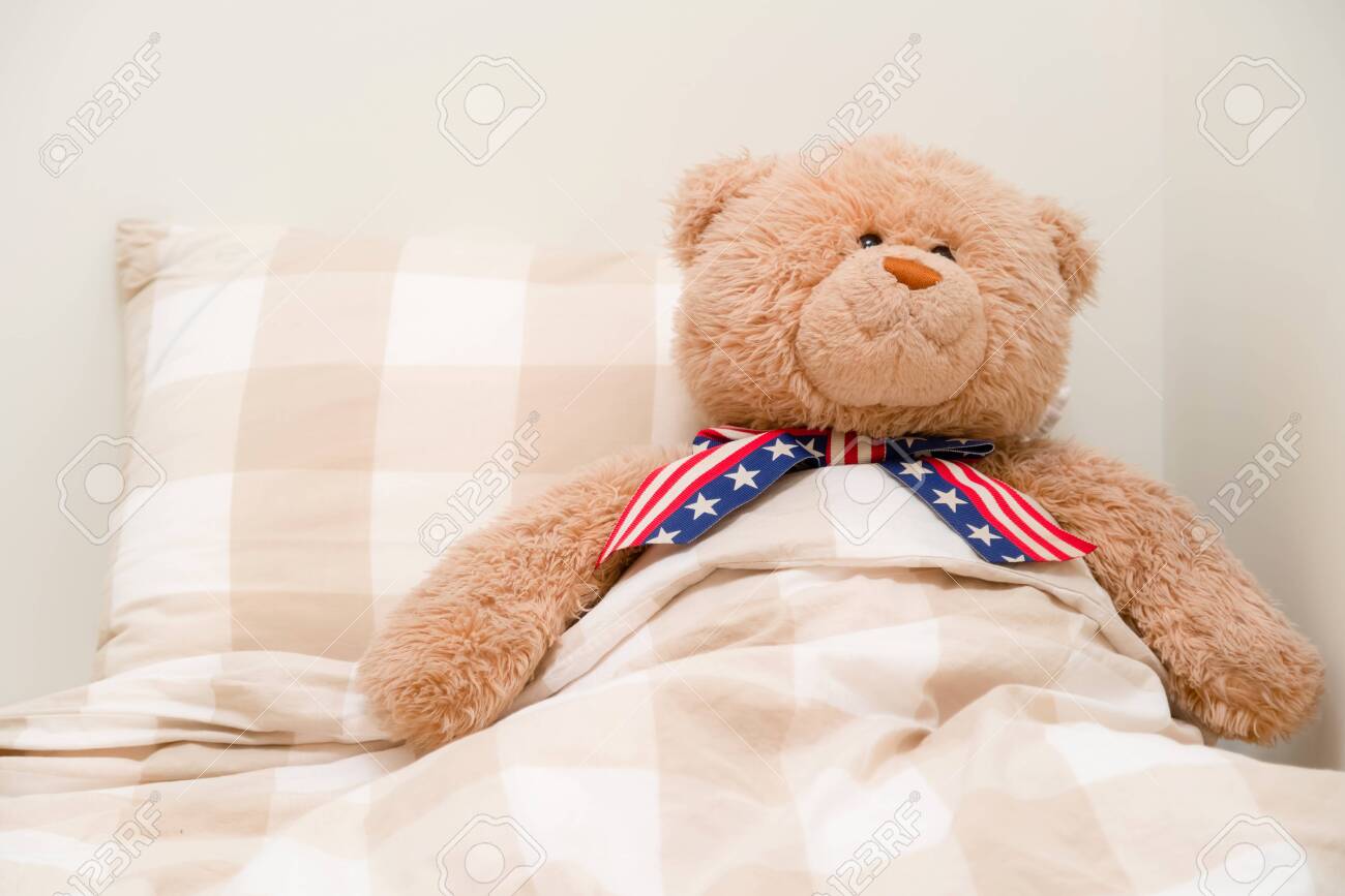 teddy bear sleeping bed