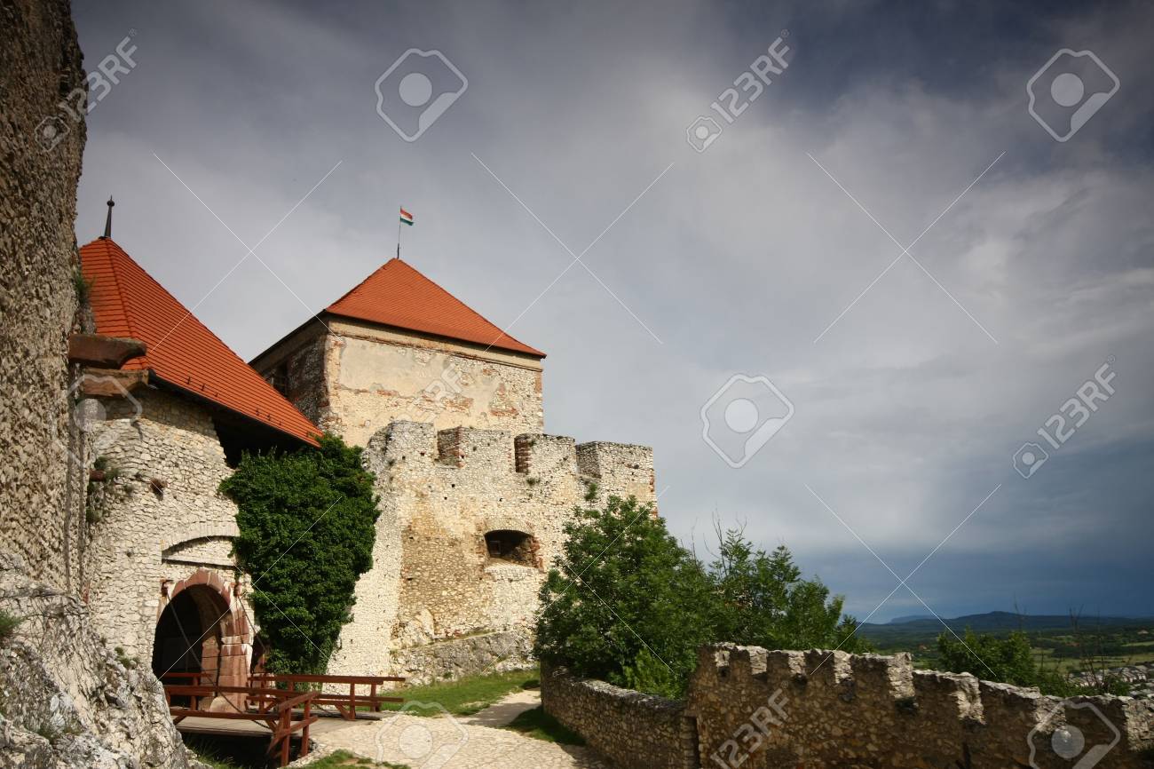 etiam-dictum-ipsum-a-felis