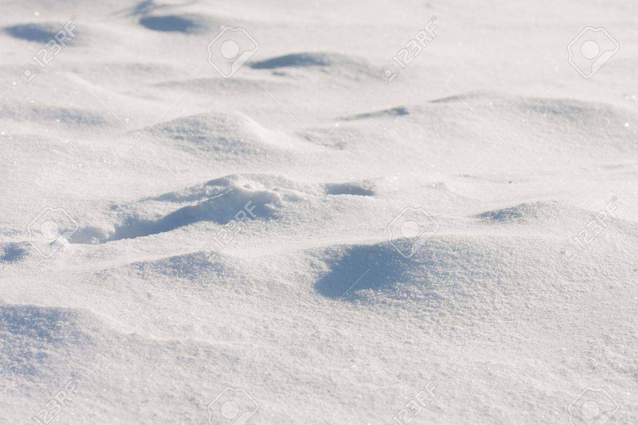 Detail Of Snow On The Ground Stock Photo Picture And Royalty Free Image Image