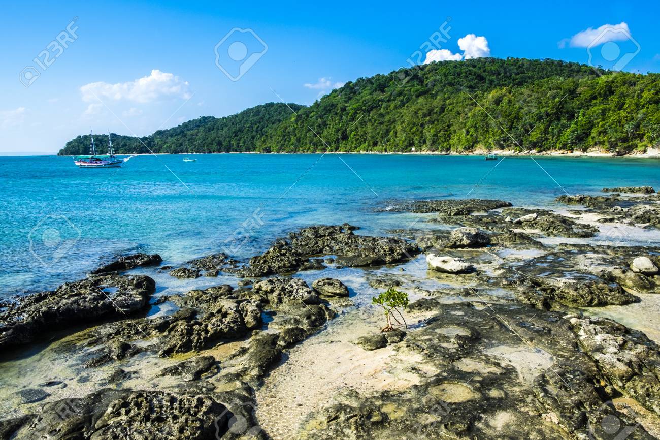 Paraíso Tropical En La Isla De Frades En La Bahía De Todos Los Santos En Salvador De Bahía Brasil Fotos Retratos Imágenes Y Fotografía De Archivo Libres De Derecho Image 70289796