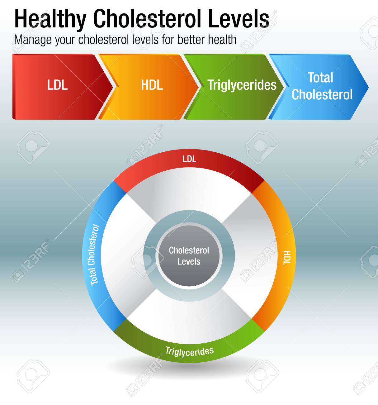 Hdl Ldl Triglycerides Chart