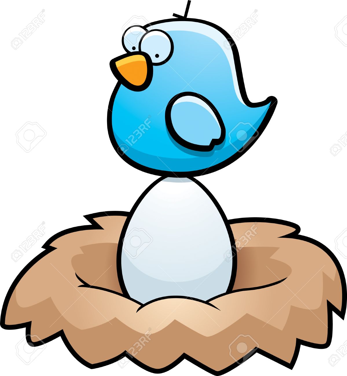 Image result for nest bird