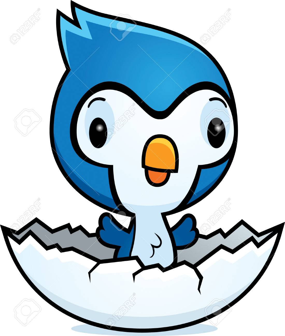 A Cartoon Illustration Of A Baby Bluejay Hatching From An Egg Royalty Free Cliparts Vectors And Stock Illustration Image