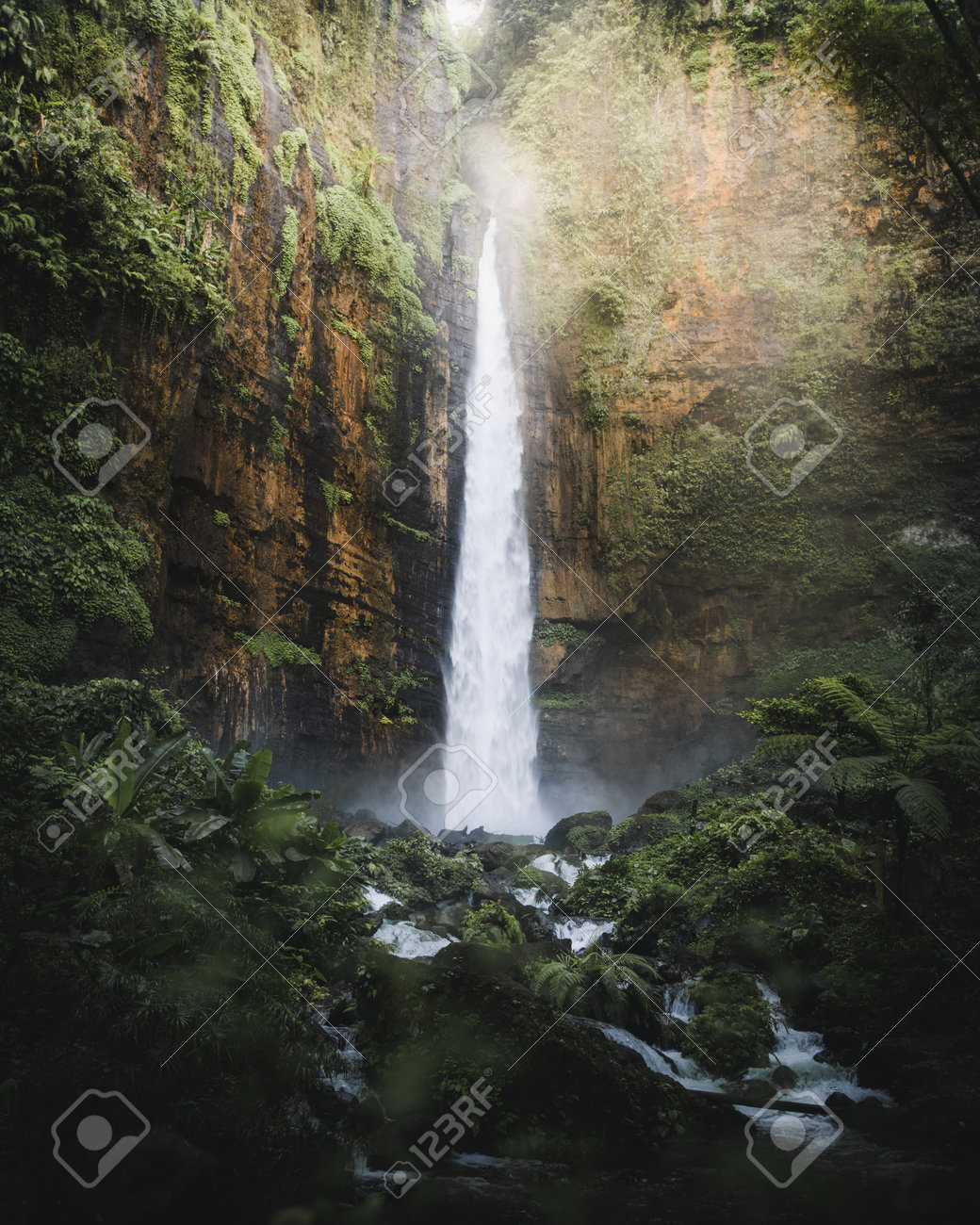 etiam-dictum-ipsum-a-felis