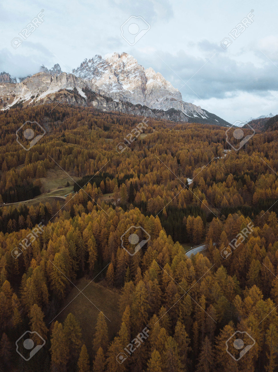 etiam-dictum-ipsum-a-felis