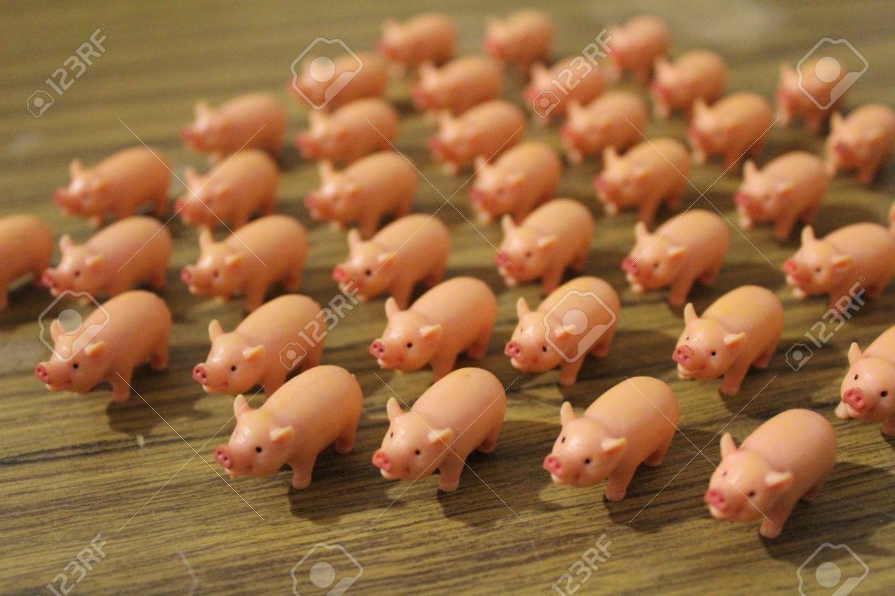 同じ方向に暴走かわいいグッズ豚の大規模なグループ の写真素材 画像素材 Image