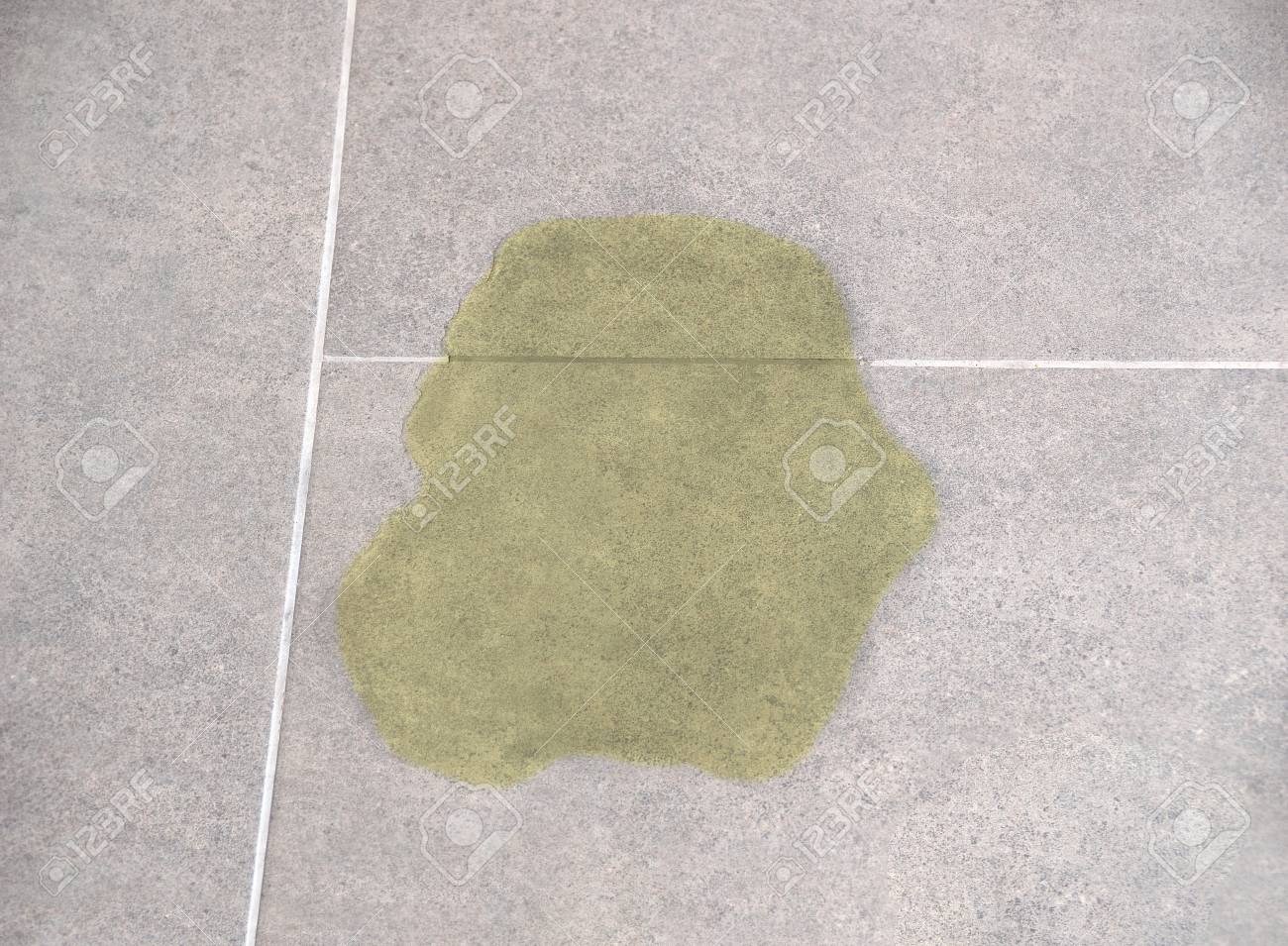 Urine Of A Cat Or A Dog On The Floor Of A House Stock Photo