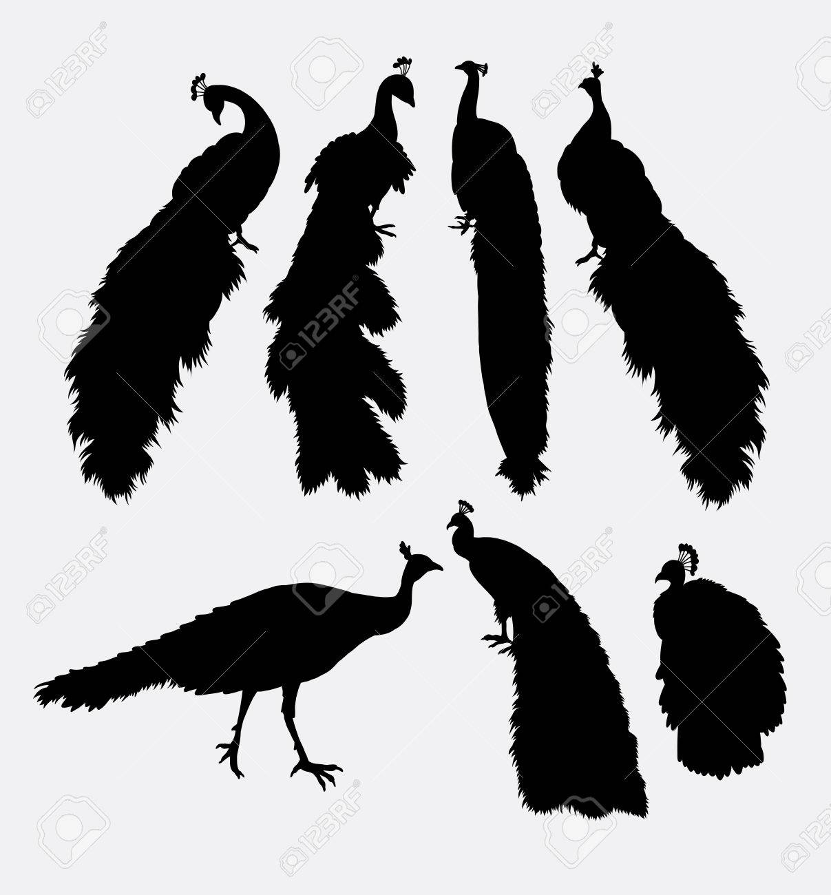 孔雀の鳥 動物のシルエット 任意のデザインやマスコット ステッカー Web アイコン シンボルを活用したいです のイラスト素材 ベクタ Image