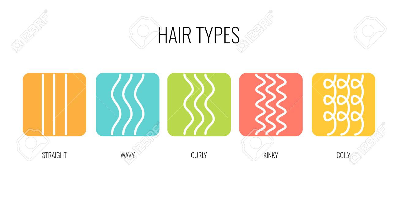 Vector Illustration Of A Hair Types Chart Displaying All Types