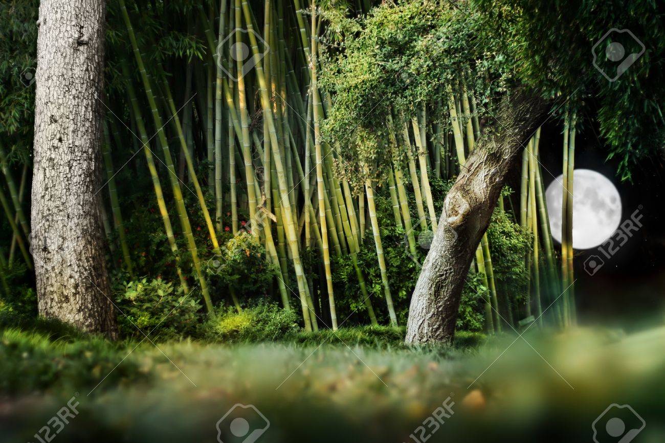 Surreal Nacht Landschaft Komposition Ein Japanischer Garten Mit ... Surreal Nacht Landschaft Komposition Ein Japanischer Garten Mit ...