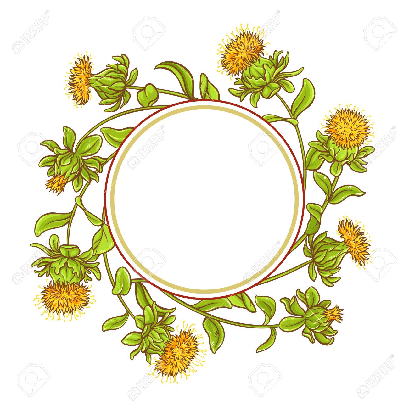 safflower plant vector frame royalty free cliparts vectors and safflower plant
