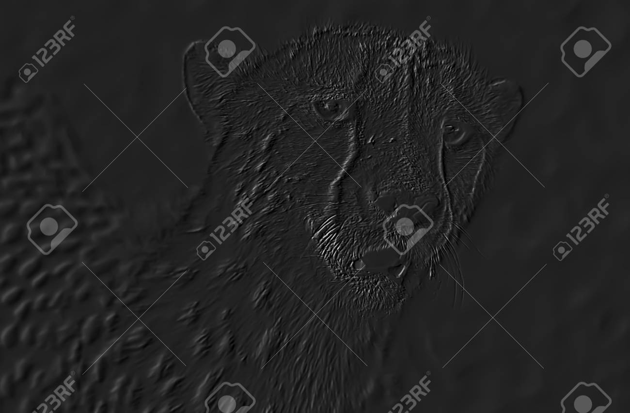 etiam-dictum-ipsum-a-felis