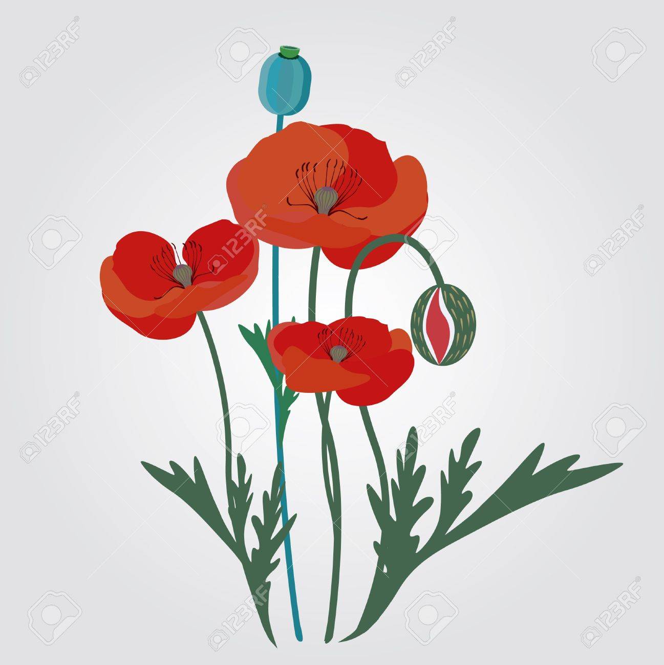 赤いケシの花イラスト のイラスト素材 ベクタ Image