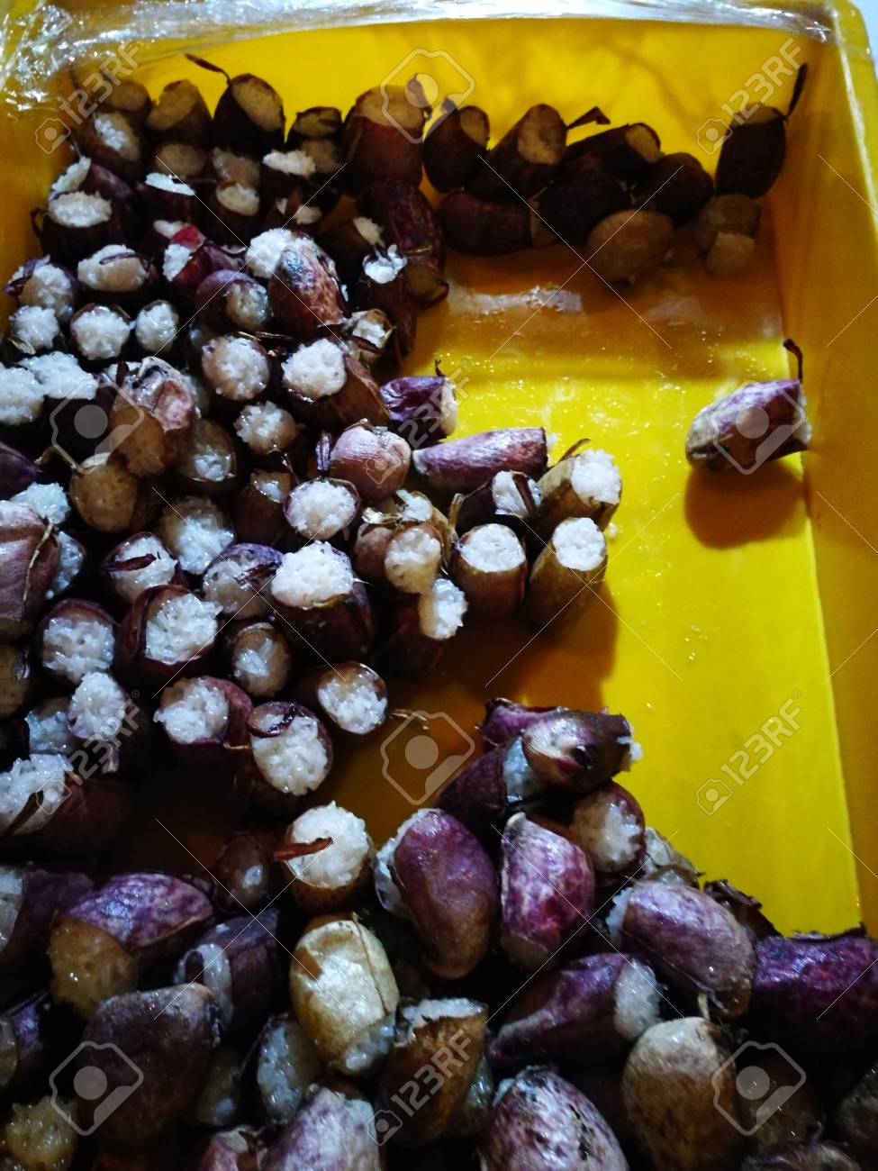 etiam-dictum-ipsum-a-felis