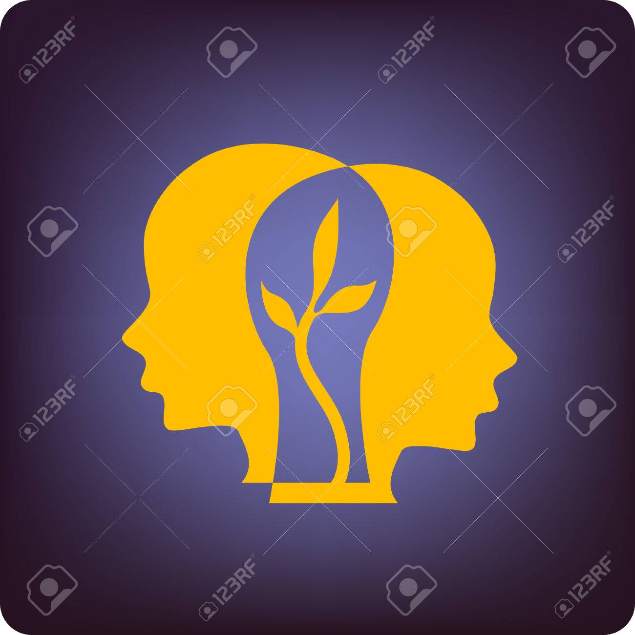 brain groth