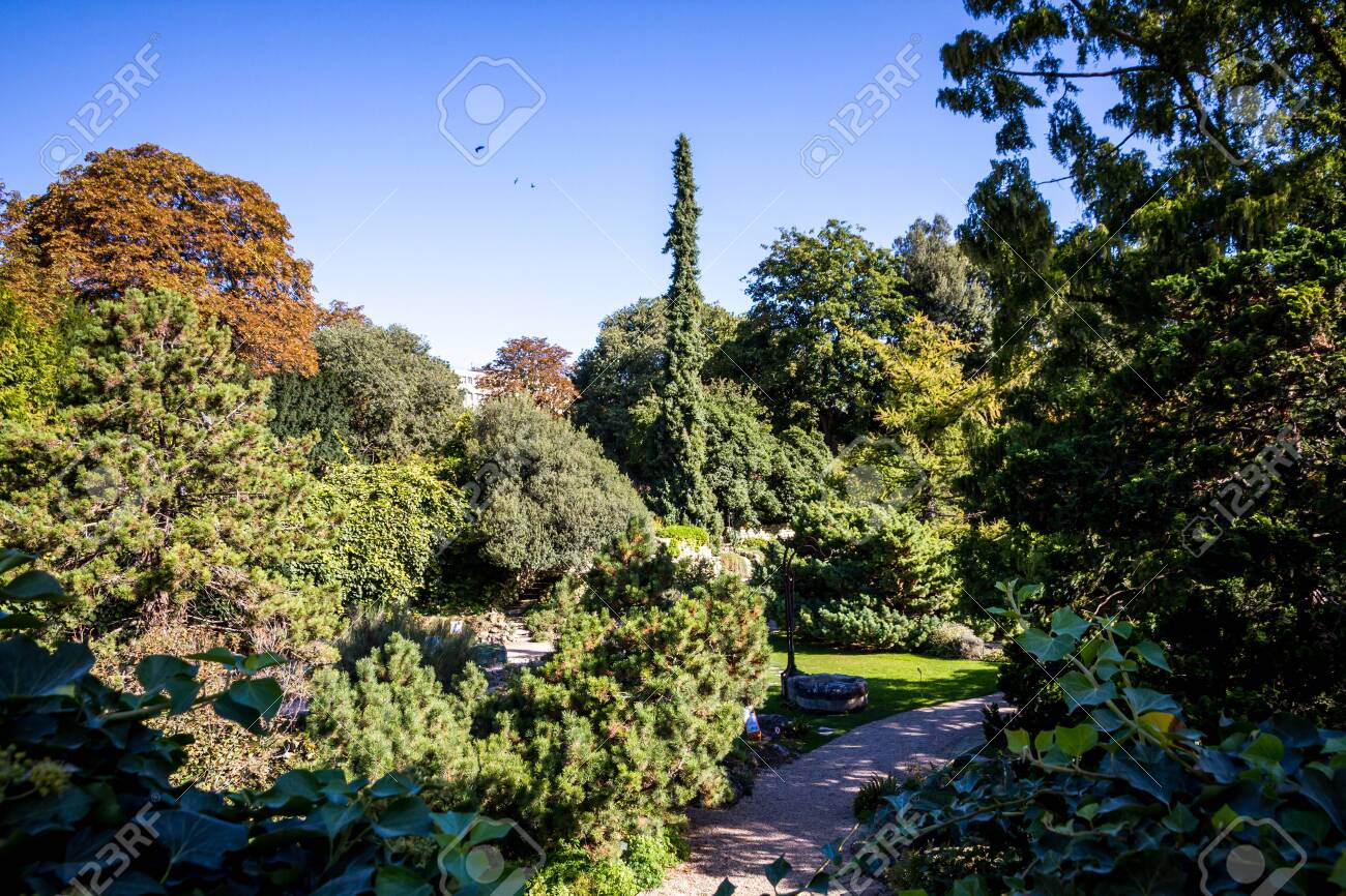 Jardin Des Plantes Botanical Garden Paris France Stock Photo Picture And Royalty Free Image Image 142990341